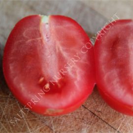 Roma Tomato Heirloom Seeds