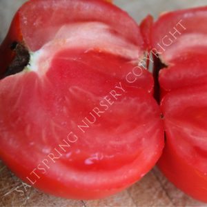 Beef Steak Tomato Seeds