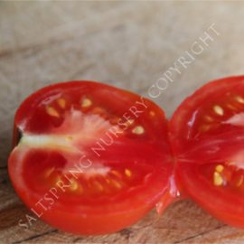 Tomato 'Lunch Bucket' Seeds