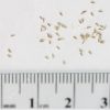 Tanacetum parthenium seeds